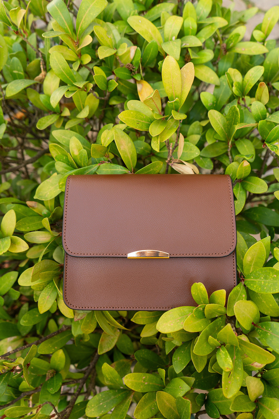Sac MANUELA PALMELLATO - Marron