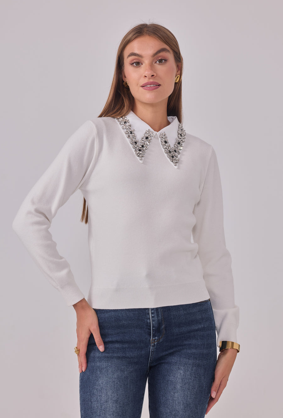 Pull Leondine